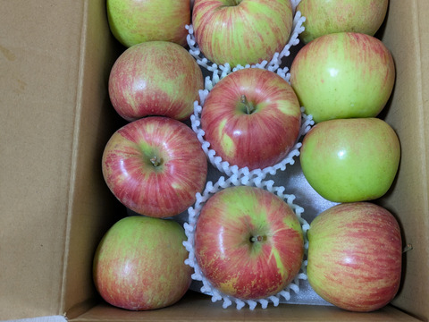 信州りんご🍎小玉４キロパック詰め