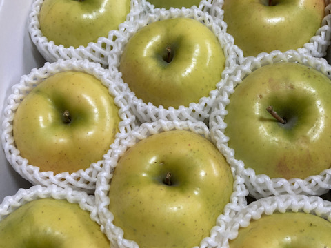 2箱分超希少りんご こうこう3キロ7-12玉×2箱 樹上完熟蜜入りチェック