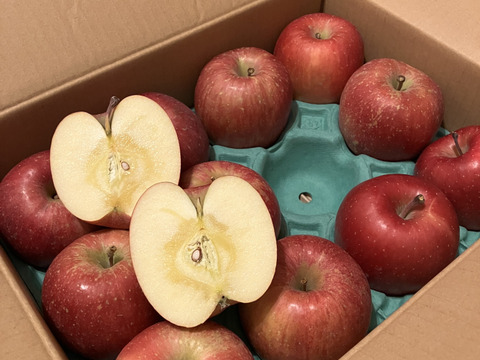 【夜市限定】感謝お礼セール‼️とことん味にこだわりました💪😊🍎青森県産葉取らず完熟ふじ3キロ。