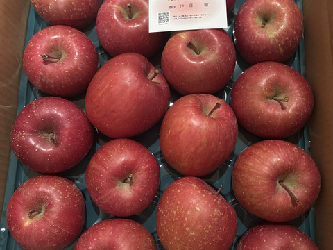 甘さと酸味が絶妙！青森県産サンふじ(訳あり) 約5kg 16個：青森県産の