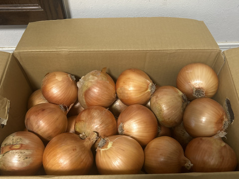 【祝!3年連続金賞🏆】淡路島玉ねぎ10kg