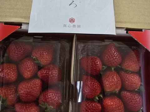 ⑨ 真心農園 あまりん【葵】化粧箱2パック入り 形の良い中