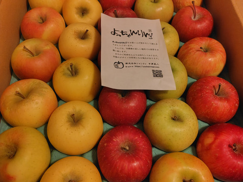 ★選べる４種★オールスター小玉🍎🍏💛💚家庭用約4.5Kg　食べ比べ　サンふじ　王林　シナノゴールド　ぐんま名月　青森県産　数量限定　４種の中から選べる　好きな数　好きな種類