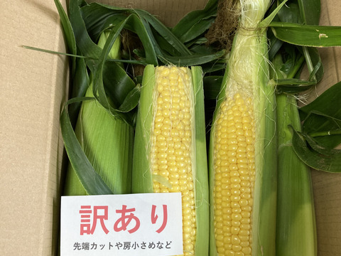 訳ありお得(^^)品種おまかせ【ピュアホワイト】【恵ゴールド】3kg