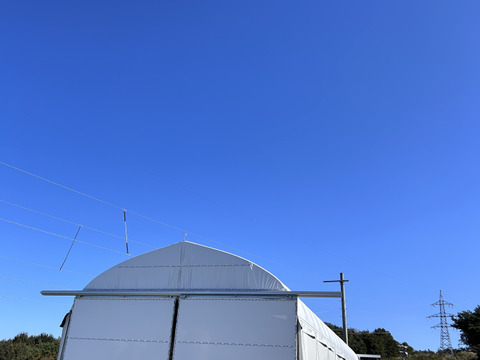 【福袋】ひまわり豚の詰め合わせセット　3種