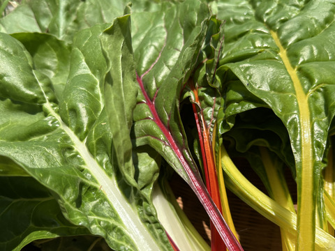 【今だけ！】農薬化学肥料不使用キラピカ野菜BOX7品グリーンレモン&ぴゅあみかんジュース１本