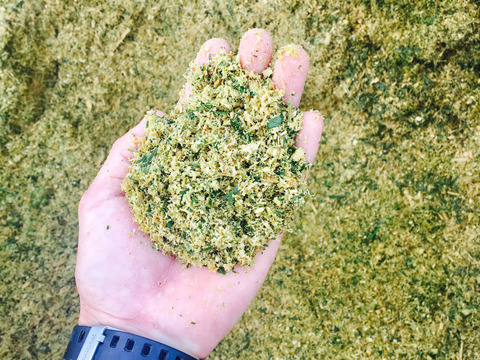 【完熟】樹上完熟！嘉穂トマト2kg