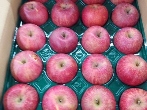 【今年は品薄】甘さが増したサンふじりんご（５Kg14玉～２３玉）