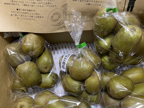 【もうすぐ終了】希少品種！甘くて美味しい🥝レインボーレッド🥝２ｋｇ　小玉～中玉
