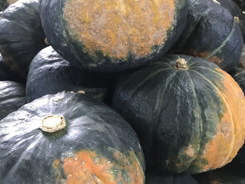 《北海道産》かぼちゃ~特濃こふき~5kg