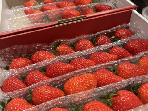 【2箱セット】《完熟!いちご狩り気分セット》お家で食べ比べ♪ 埼玉県羽生市産【いちご食べ比べ】