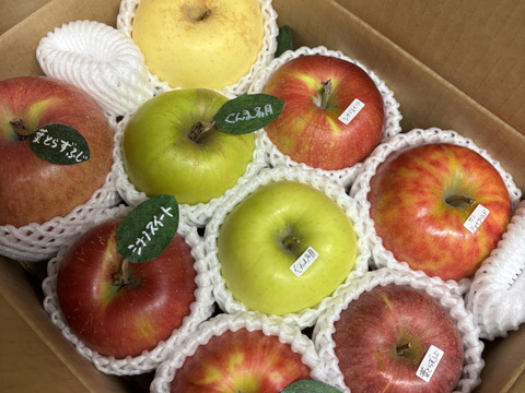 🍎 【冬ギフト】(家庭用)5品種詰め合わせ🍎3キロ   おまかせ 商品ID171041