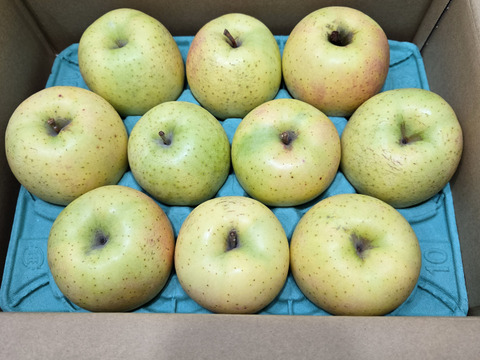 「青りんご王林」訳あり加工用　お値下げ！年末総決算！加工用家庭専用コース　甘くて芳醇な香りのりんご　3キロコース（10から12個入り）