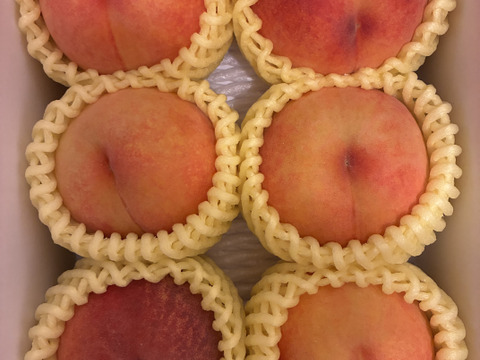 まるせい果樹園の桃　『黄金桃』1㎏(5玉~7玉入り)　自家用　ご贈答用向け  mo3