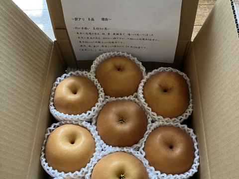 値下げ!!!【南水B品】見た目に難あり宅配80sizeに入るだけ。