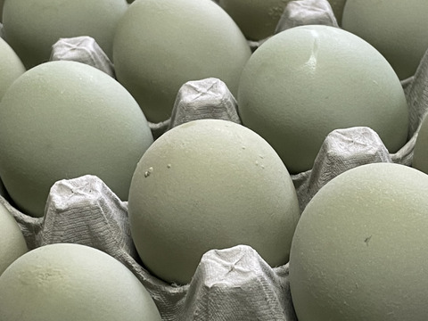 平飼い　碧い瞳のラピィスの卵〜アローカナが生み出す幸せの色　40個
見てよし、食べてよし、贈ってよし〜こってり卵にさようなら