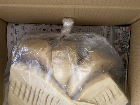 リピート注文、ありがとうございます。採れたてのたけのこ 1kg（孟宗竹）直ぐにお料理に使えます。弾けて響くタケノコ食感っ！