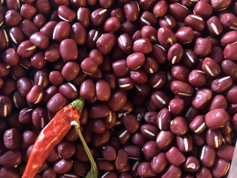 丹波市産自然栽培大納言小豆 新豆！