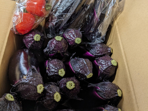 つやつや真っ黒！群馬の露路ナス（M〜Lサイズ、常温60サイズです。）