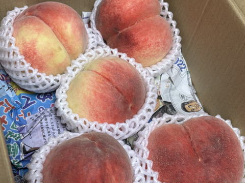山梨県産　極上甘い桃　家庭用(5玉前後)