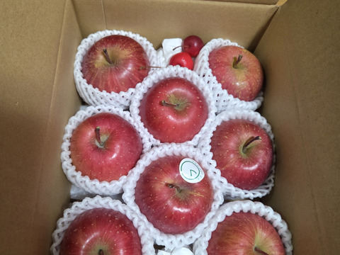 【小玉りんご】ふじ！りんごの王様【家庭用規格1.5kg箱】