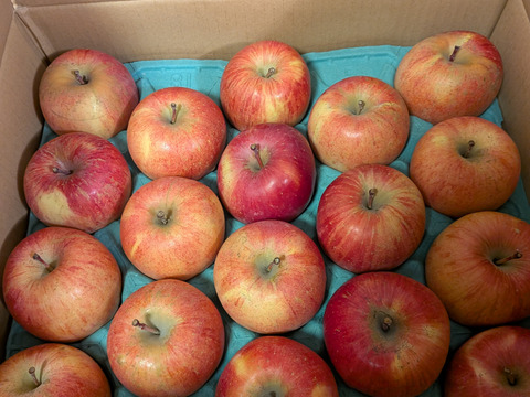 【ご予約】溢れんばかりの果汁！！当農園人気No.1 サンふじ【ご家庭用】５㎏
F-k5