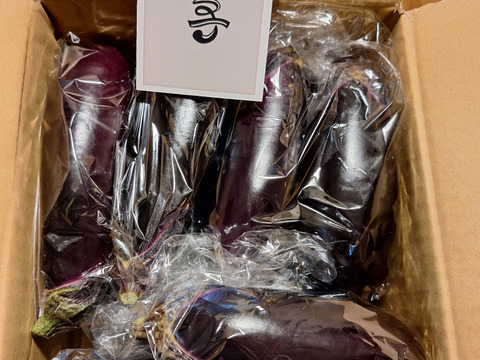 野菜ソムリエサミット銀賞 とげなしなす10本：愛知県産のその他