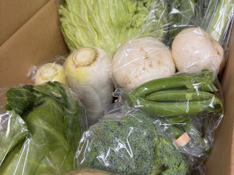 Mサイズ ＊旬野菜セット(約8~9品)【農薬：栽培期間中不使用】