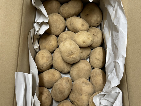 【5kg】【皮までいけます】屋久島産　新じゃがいも　完全農薬不使用