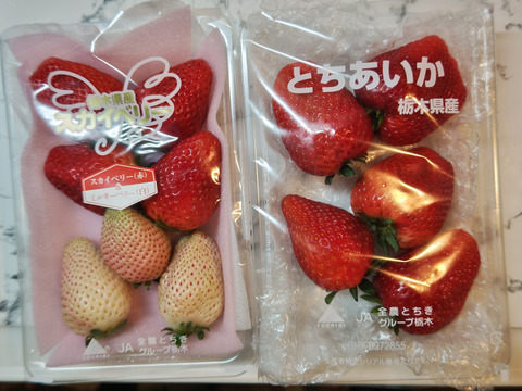 【美品】 特選セット 【いちご食べ とちあいかとスカイベリー+白いちご 果物