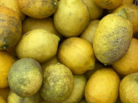 レモン(3kg) C級品：化学農薬不使用