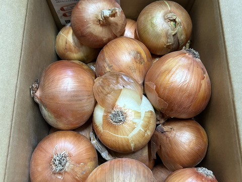 【特別価格】【訳あり】淡路島産玉ねぎ5kg