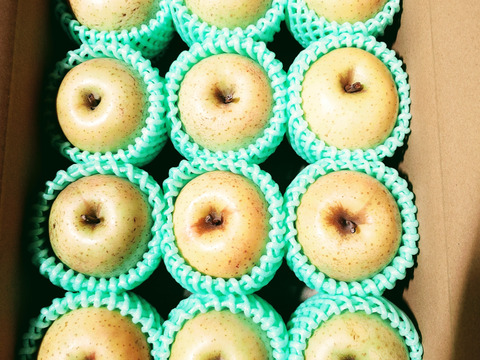 王林好きな方へ【小玉/特別栽培/ご家庭用/】王林2.5キロ