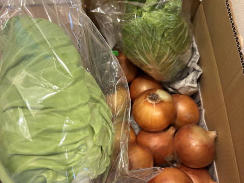 大好評，地層が違う淡路島、大玉ターザン(風袋込み４キロ)