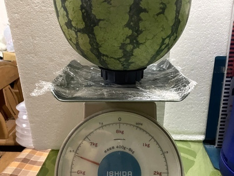 兵庫産夏武輝 大玉スイカ6400ｇ