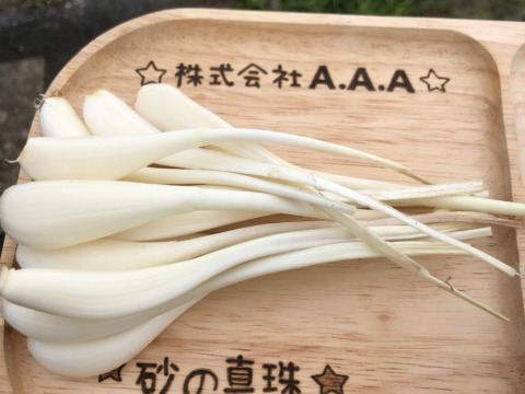 砂の真珠エシャレット❤️皮飛ばし有り200g