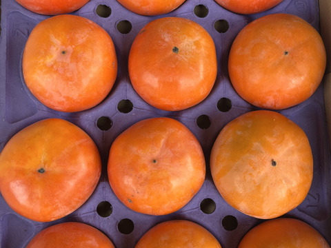 寒さに当たった今が甘い！千代田の富有柿　2Lサイズ12玉入り(約4キロ)