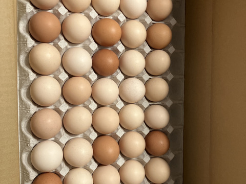 【通年常温便専用】ぷりっと新鮮♪安心たまご！さくらたまごM45個入（破損補償10個含む） 食べチョク【熨斗対応可】