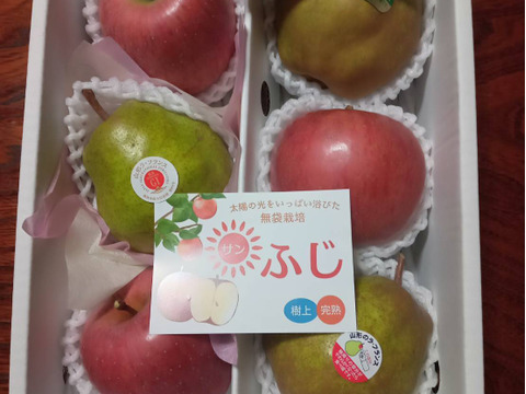 【福袋】サンふじとラフランスの果物詰め合わせセット、2キロ(6~7玉)「熨斗対応可」