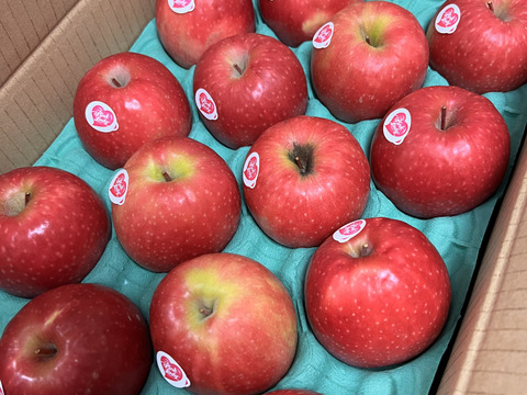 本当にラスト6件🍎 ピンクレディー®︎3キロ箱  長野県 信州 安曇野 リンゴ 幻 幻のリンゴ 予約 希少 旬 6玉〜16玉サイズ 商品ID42100 ピンクレディー