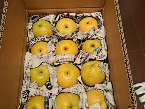 【加工用】訳ありミニサイズ梨を格安で🍐【かおり】約4kg