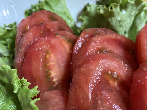 【たっぷり食べれる】ミニトマト「小鈴」1.5キロ とトマト「かれん」約2キロ(11~15玉)