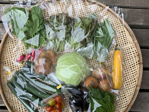 【一日限定1組！】キノコと夏野菜、詰め得ＢＯＸ　８袋のところ10袋以上！