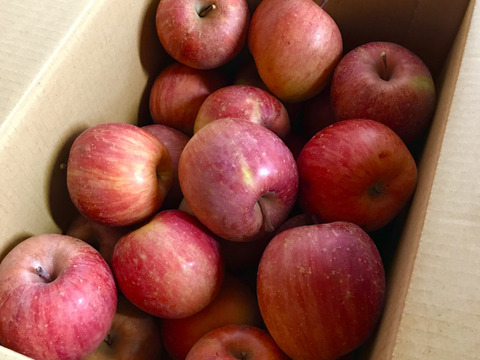 【 大特価🍎値下げ↓軽めのデザートにピッタリ！】 SSサイズのみ サンふじ 訳あり 36個  7㎏ 相当
