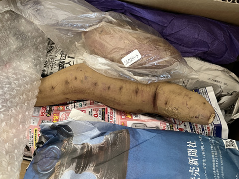 ホクホク食感！千葉県香取市産  紅あずま 2Lサイズのみ　4.8kg