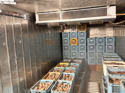 蜜たっぷり！1.8kgねっとり食感【べにはるか】