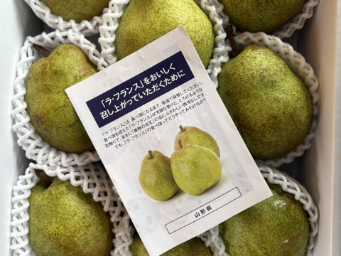 新品 山形県産 ラフランス 3キロ：山形県産のラ・フランス｜食べ 果物