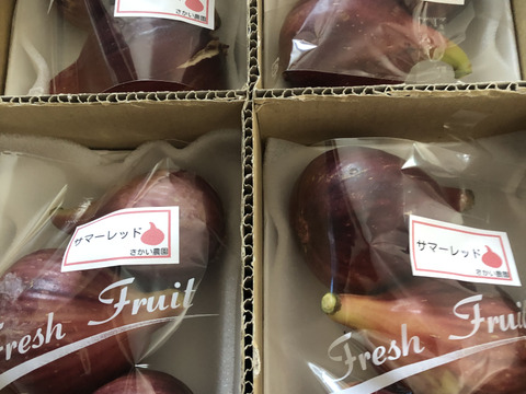 【ご自宅用】朝採り完熟いちじく