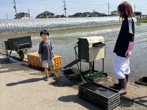令和8年度新米 埼玉県産】🌾コシヒカリ精米10kg：埼玉県産のコシヒカリ