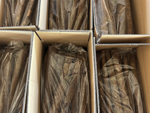 秋香ごぼう１キロ（土付き）太くて短い使いやすいサイズ‼️ 掘り立て発送💨